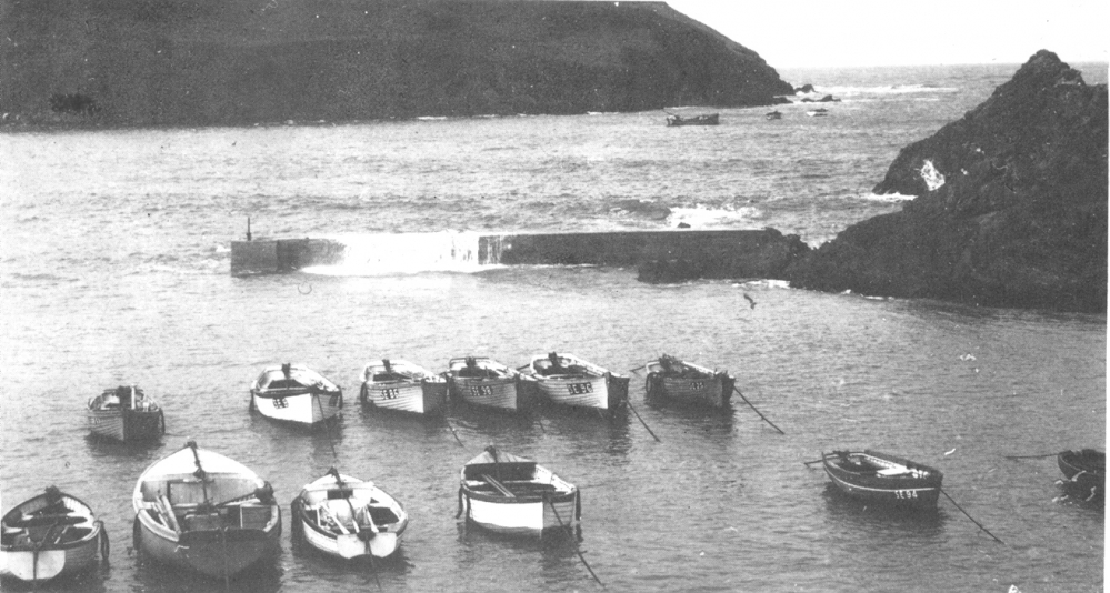 Fishing boats in Hope Cove harbour